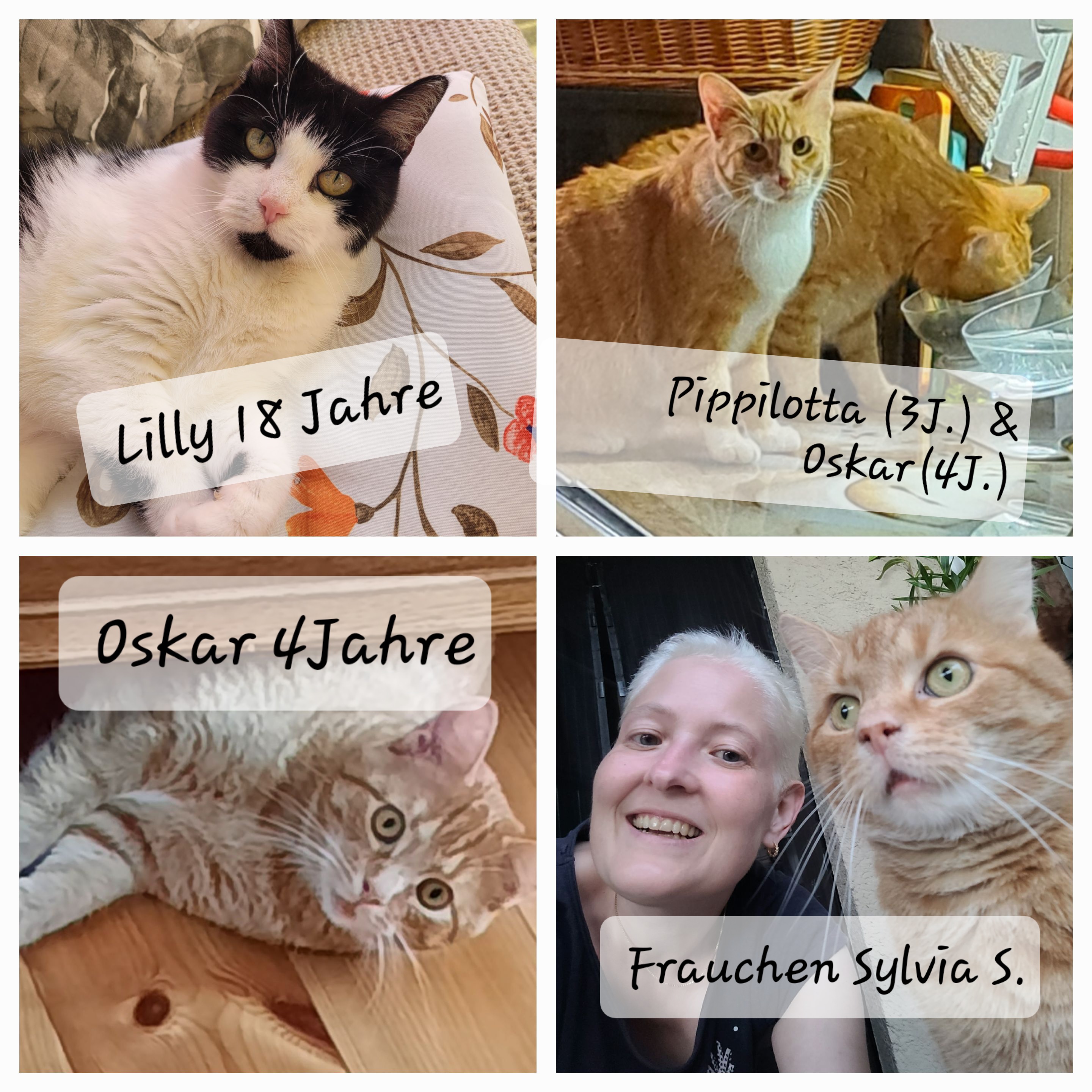 Sylvia S. mit Lilli (18), Oskar (4) und Pippilotta (3)