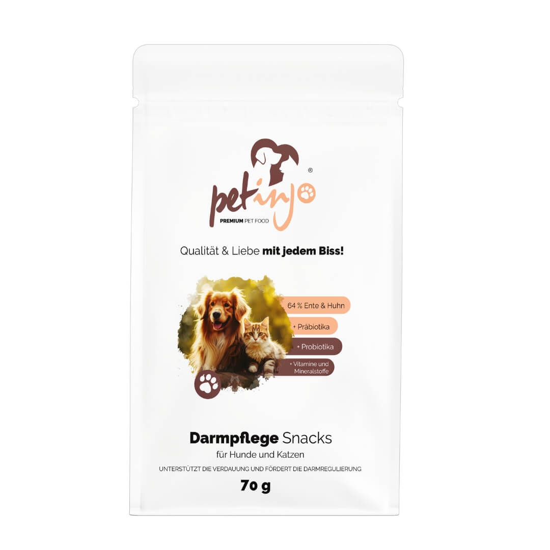 Darmpflege Snacks